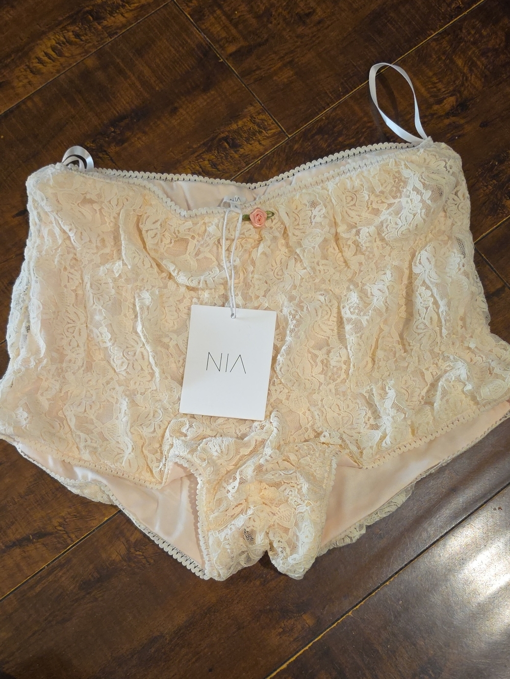 Nia Women's Lace High-Waist Briefs in Blush
